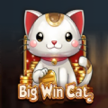 Big Win Cat Slot Apk Download 2024