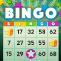 Bingo Blowout apk download latest version