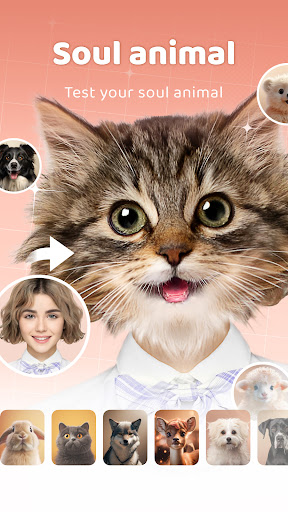 AnimalFace Mod Apk 1.1.8 Premium Unlocked Latest Version