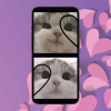 Couple Cat Matching Wallpaper app download for android v1.0.0 screenshot 2