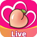Amigas app download apk latest version