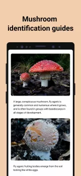 Picture Mushroom - Mushroom ID MOD APK (Unlocked, Premium) v2.9.24 screenshot 4