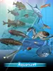 Fishing Season :River To Ocean MOD APK (High Damage, Mod speed) v1.12.13 screenshot 19