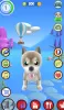 Talking Puppy MOD APK (Remove ads, Unlimited money) v1.82 screenshot 12