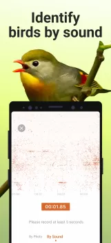 Picture Bird - Bird Identifier MOD APK (Unlocked, Premium) v2.9.28 screenshot 3