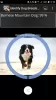 Identify Dog Breeds MOD APK (Full) v28 screenshot 4