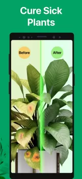 PictureThis - Plant Identifier MOD APK (Unlocked) v4.4.1 screenshot 7