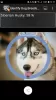 Identify Dog Breeds MOD APK (Full) v28 screenshot 3