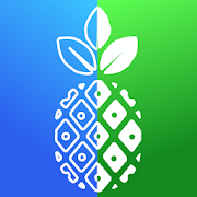 Diff before after video photo MOD APK (Unlocked, Premium)