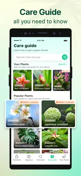 Plant Parent: Plant Care Guide