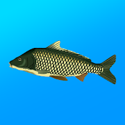 True Fishing. Simulator MOD APK (Paid for free, Unlimited money, Free purchase, Unlocked, Premium, Full, Infinite)