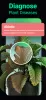 Plantum - Plant Identifier MOD APK (Unlocked, Premium) v3.5.1 screenshot 2