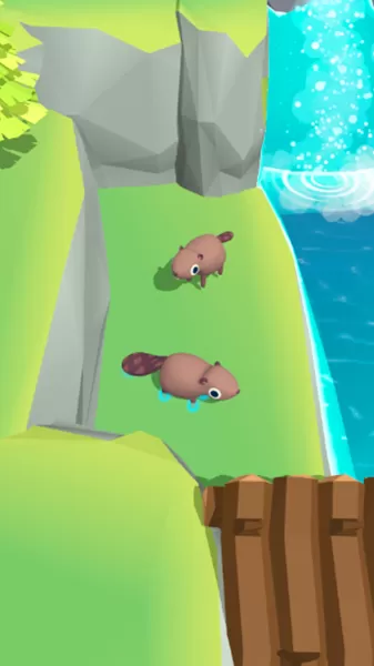 Beaver Builder