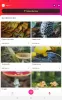 Picture Mushroom - Mushroom ID MOD APK (Unlocked, Premium) v2.9.24 screenshot 10