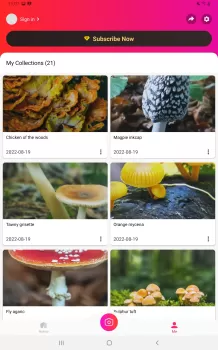 Picture Mushroom - Mushroom ID MOD APK (Unlocked, Premium) v2.9.24 screenshot 10