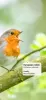 Picture Bird - Bird Identifier MOD APK (Unlocked, Premium) v2.9.28 screenshot 2
