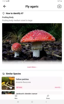 Picture Mushroom - Mushroom ID MOD APK (Unlocked, Premium) v2.9.24 screenshot 9