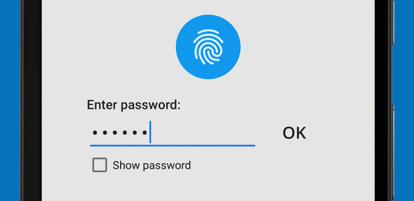 Password Manager SafeInCloud 1