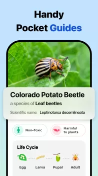 Picture Insect: Bug Identifier MOD APK (Unlocked, Premium) v2.8.31 screenshot 5