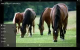 Hide it Pro MOD APK (Unlocked) v8.0.4 screenshot 9