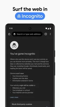 Google Chrome MOD APK v104.0.5112.97 screenshot 6