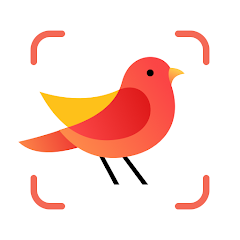 Picture Bird - Bird Identifier MOD APK (Unlocked, Premium)