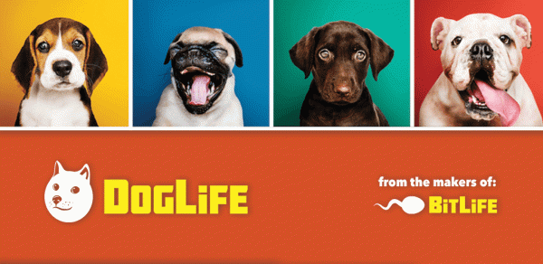 DogLife