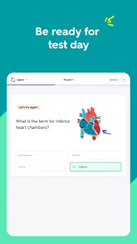 Quizlet: AI-powered Flashcards MOD APK (Remove ads) v9.23.2 screenshot 17