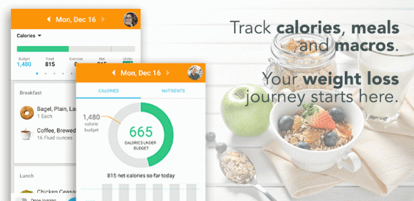 Calorie Counter by Lose It!