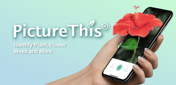PictureThis - Plant Identifier