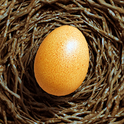 Egg Journey MOD APK (Mod Menu)