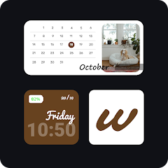 Widget iOS 16