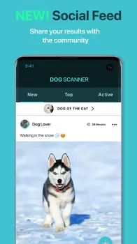 Dog Scanner: Breed Recognition MOD APK (Unlocked, Premium) v17.2.6-G screenshot 4