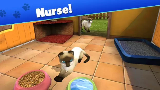 Pet World: My Animal Shelter MOD APK (Remove ads, Unlimited money, Mod speed) v5.6.20 screenshot 11