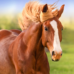 The Horse MOD APK (Unlimited money)