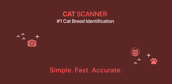 Cat Scanner: Breed Recognition