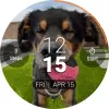 PhotoWear Classic Watch Face MOD APK (Unlocked, Premium) v4.5.44 screenshot 14