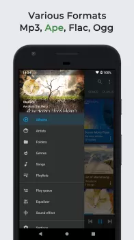 Omnia Music Player MOD APK (Unlocked, Premium) v1.7.8 screenshot 2