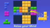 Block Puzzle MOD APK (Remove ads, Unlimited money) v1.7.4 screenshot 19