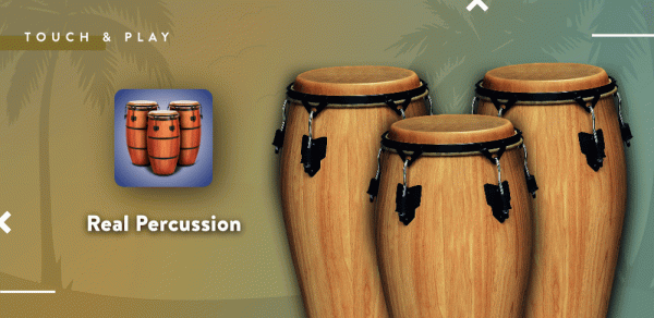 Real Percussion: drum set