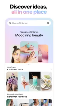 Pinterest MOD APK (Remove ads, Free purchase, No Ads) v2000000000.0.0-CrOS screenshot 1