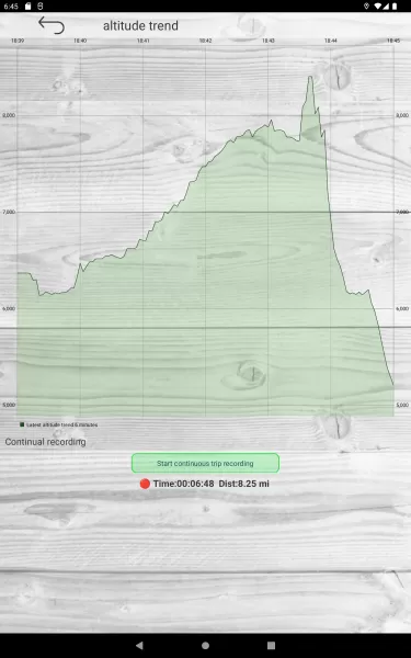 Altimeter professional