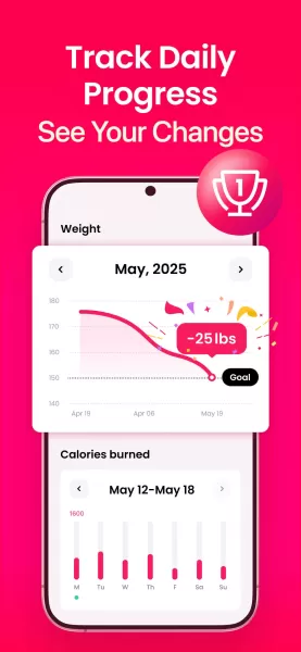 LazyFit