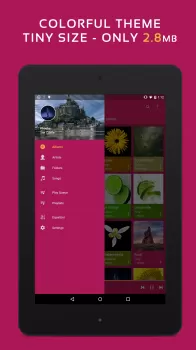 Pulsar Music Player Pro MOD APK (Paid for free, Patched) v1.12.11 screenshot 10