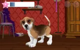 Dog World - My Cute Puppy MOD APK v4.8.92 screenshot 8