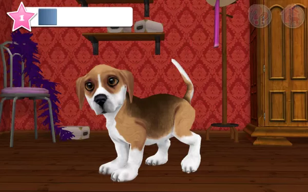 Dog World - My Cute Puppy