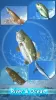 Fishing Season :River To Ocean MOD APK (High Damage, Mod speed) v1.12.13 screenshot 6