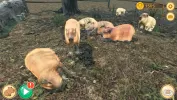 Capybara Zoo MOD APK (Free purchase) v2.6.4 screenshot 2