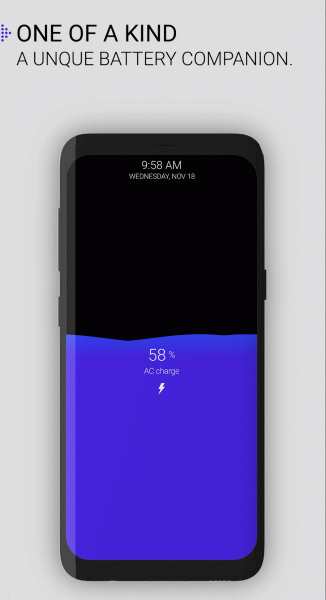 True Amps: Battery Companion