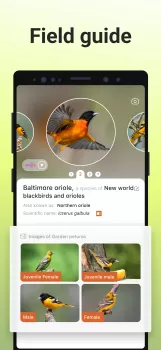 Picture Bird - Bird Identifier MOD APK (Unlocked, Premium) v2.9.28 screenshot 4